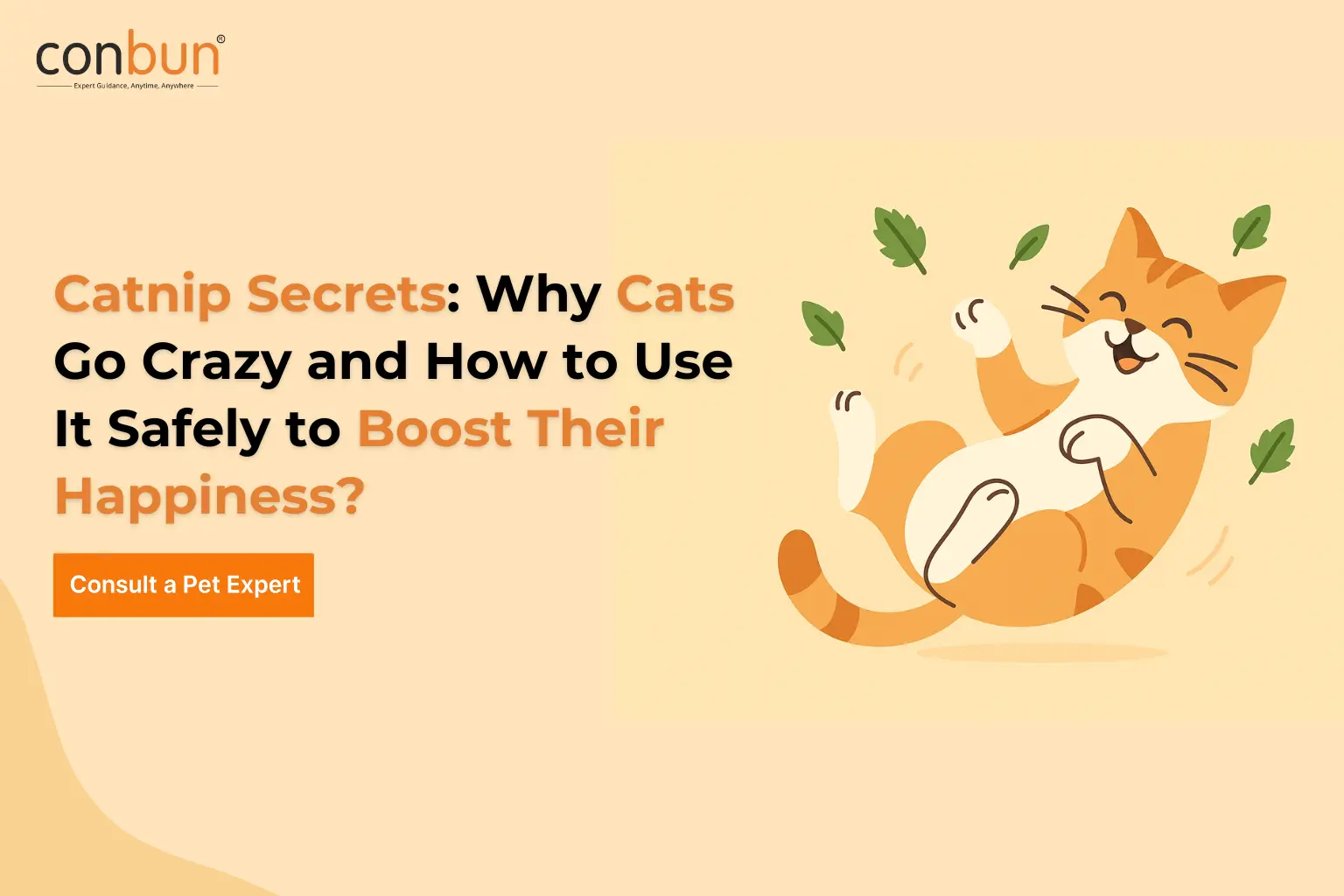 Catnip Secrets: Why Cats Go Crazy and How to Use It Safely to Boost Their Happiness